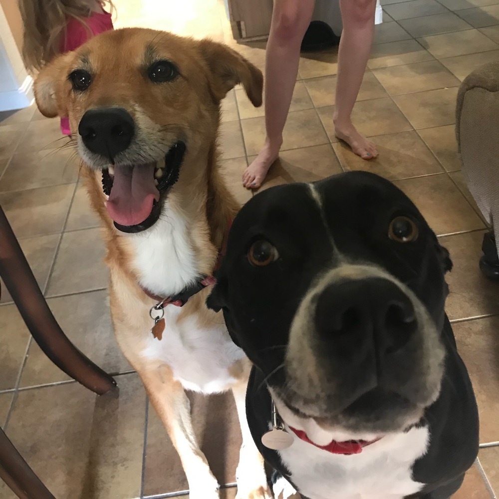 Meet your Posher, Nicholas